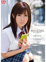 サムネイル画像