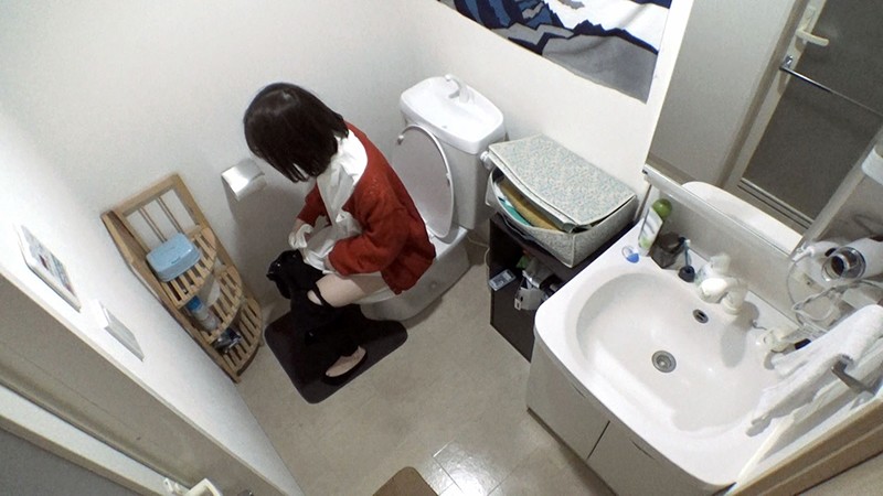 サンプル画像 3