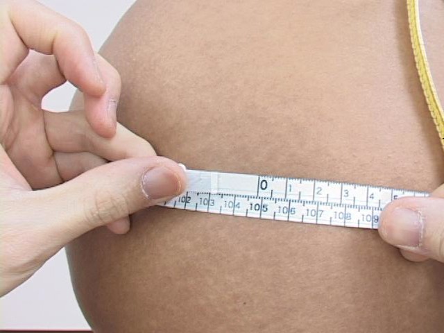 サンプル画像 7