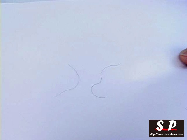 サンプル画像 12