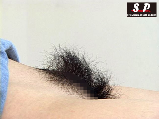 サンプル画像 5