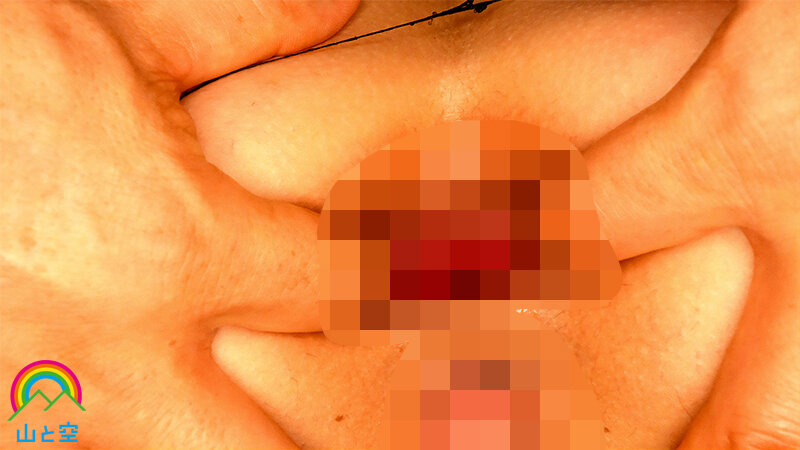 サンプル画像 14