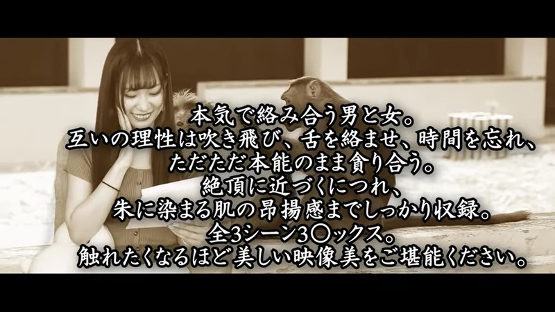 サンプル画像 5