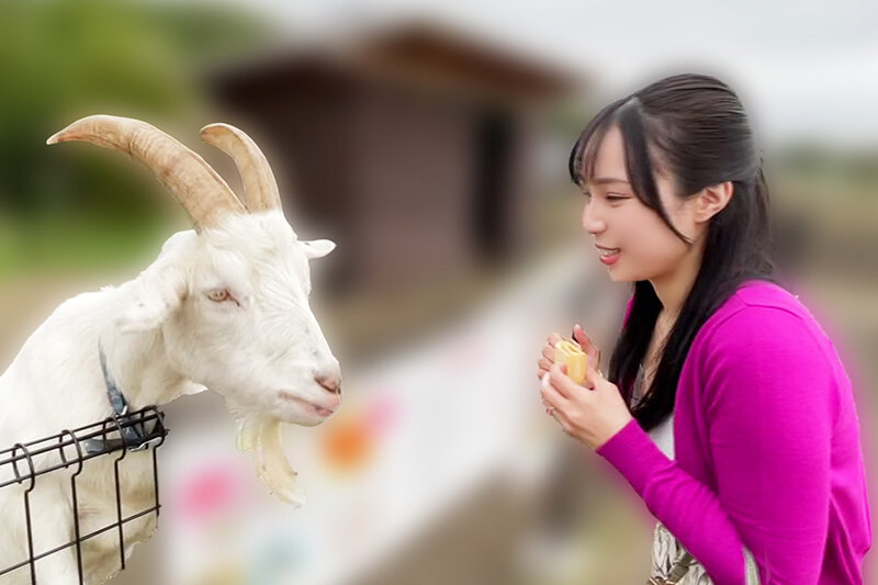 サンプル画像 4