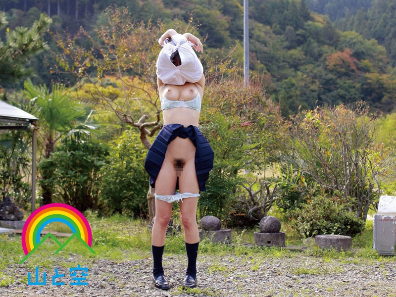 サンプル画像 13