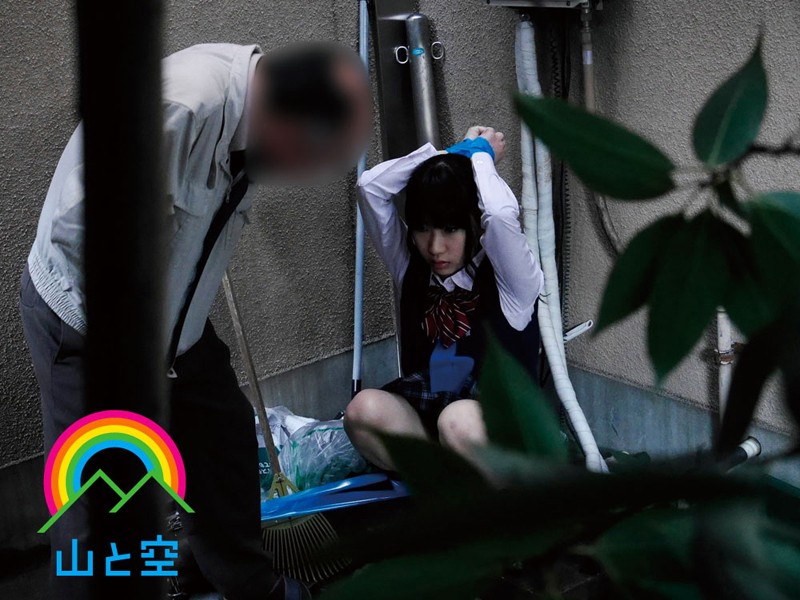 サンプル画像 5