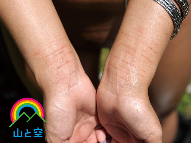 サンプル画像 13