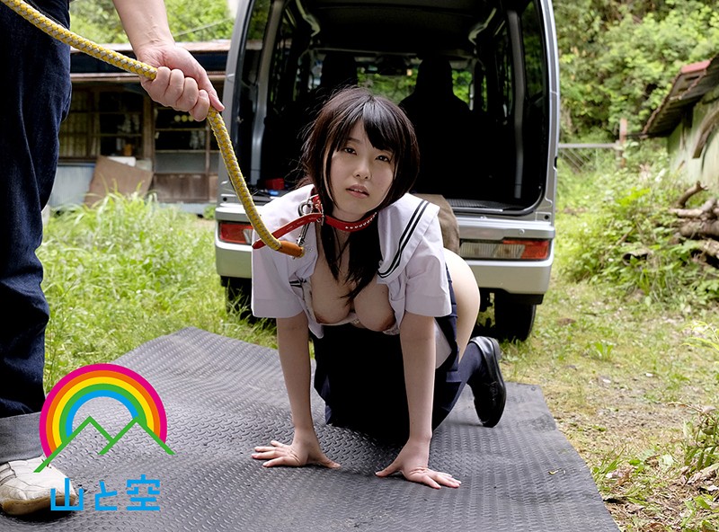 サンプル画像 6