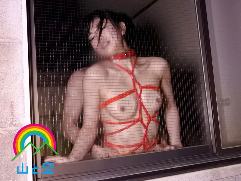 サンプル画像 7