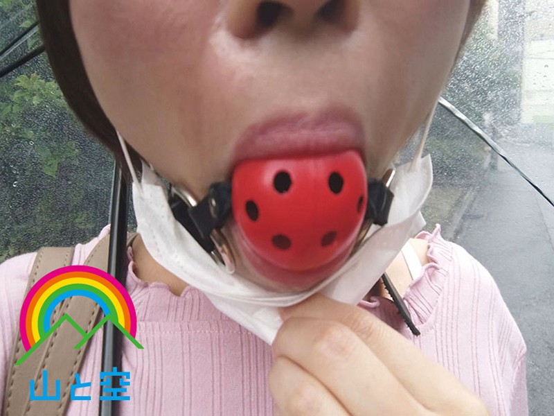 サンプル画像 3