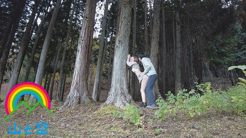 サンプル画像 6