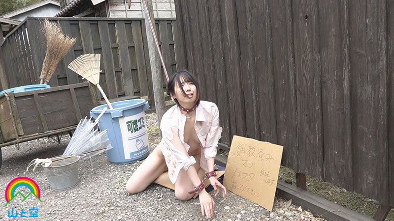 サンプル画像 9