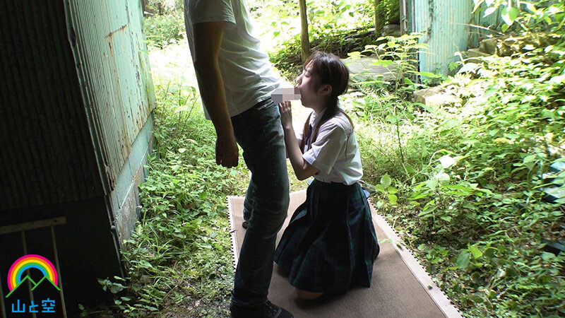 サンプル画像 5