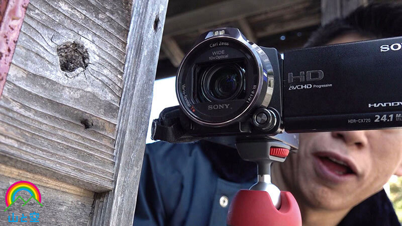 サンプル画像 6