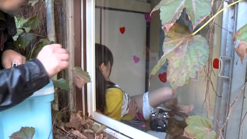 サンプル画像 8