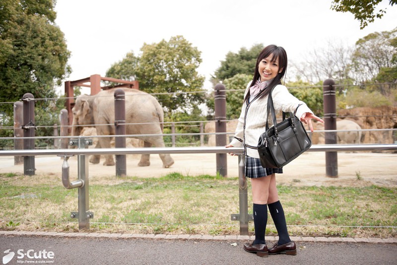 サンプル画像 11