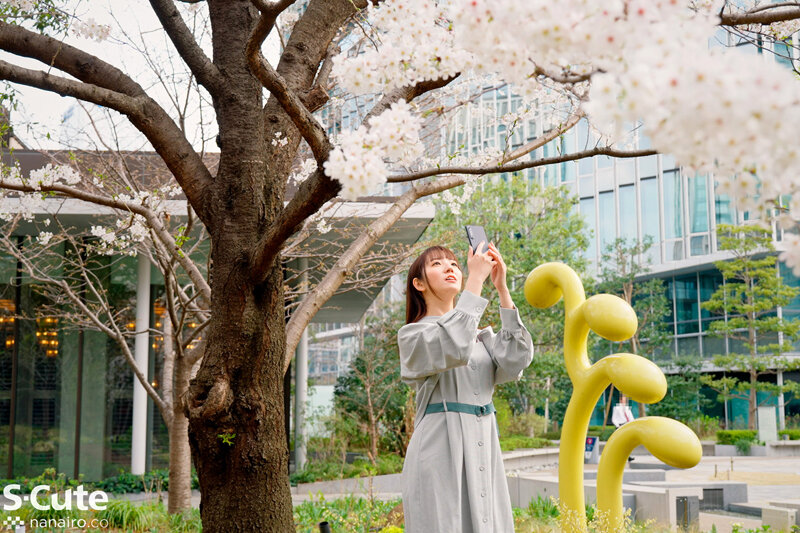 サンプル画像 6