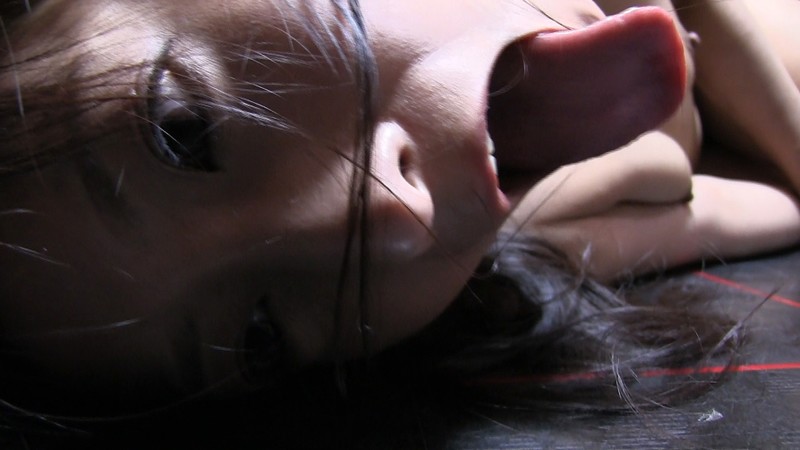 サンプル画像 16