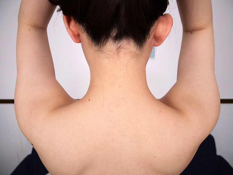 サンプル画像 8