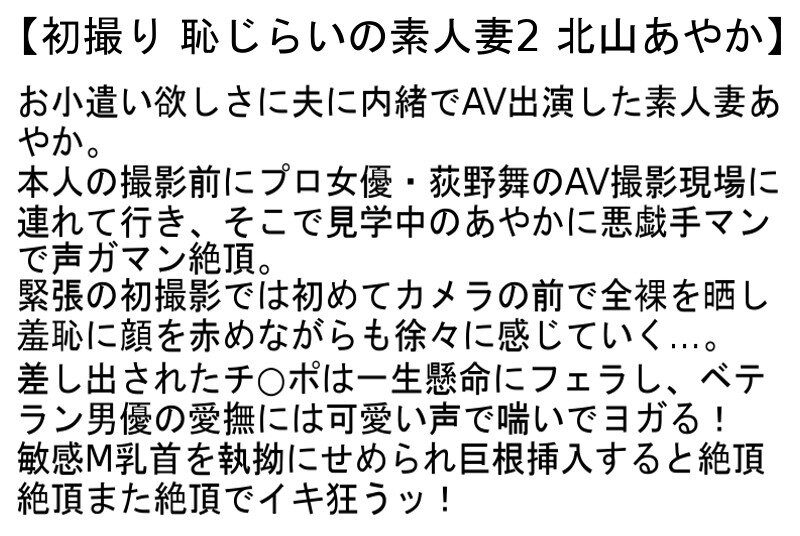 サンプル画像 3