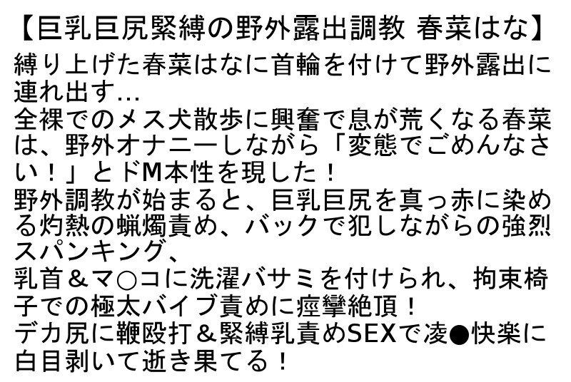 サンプル画像 7
