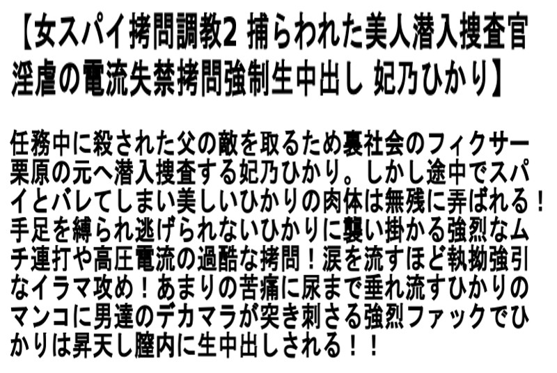 サンプル画像 5