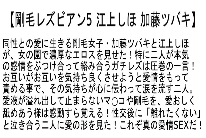 サンプル画像 5