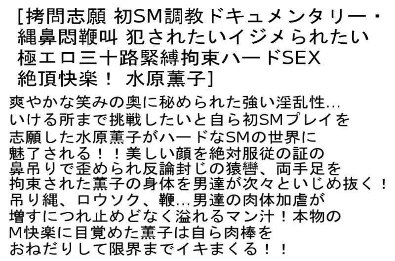 サンプル画像 3