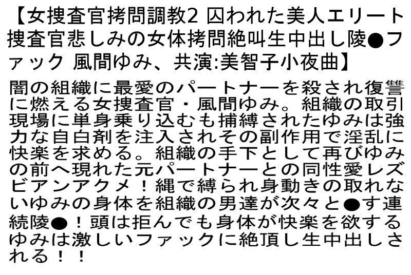 サンプル画像 3