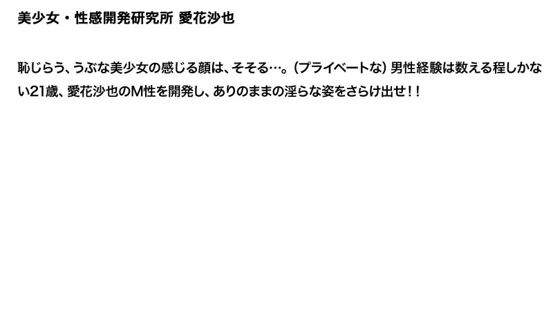 サンプル画像 3