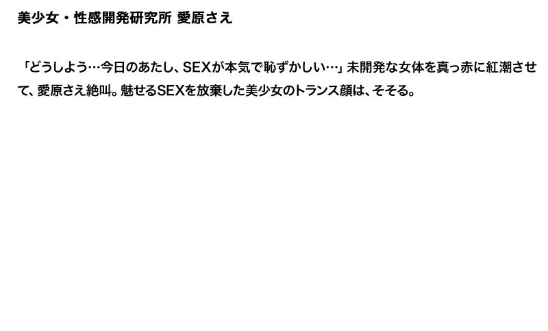 サンプル画像 5