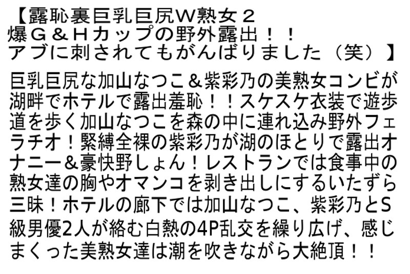 サンプル画像 3