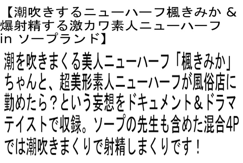 サンプル画像 5