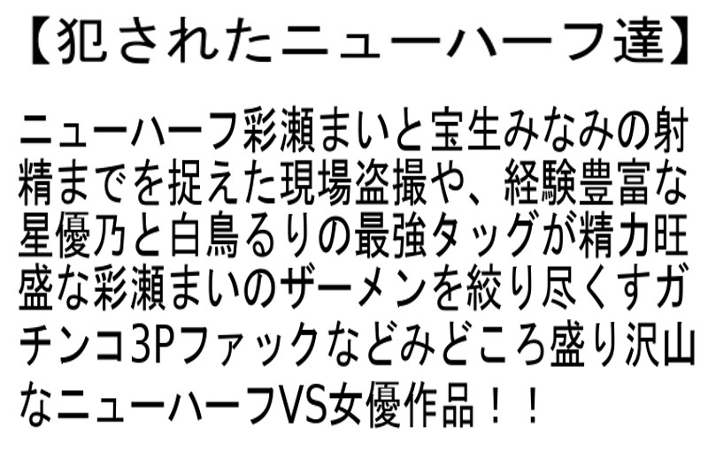 サンプル画像 5