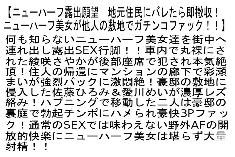 サンプル画像 5