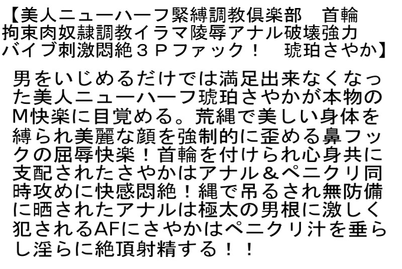 サンプル画像 3