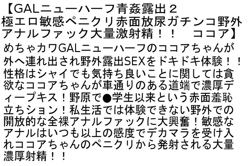 サンプル画像 5