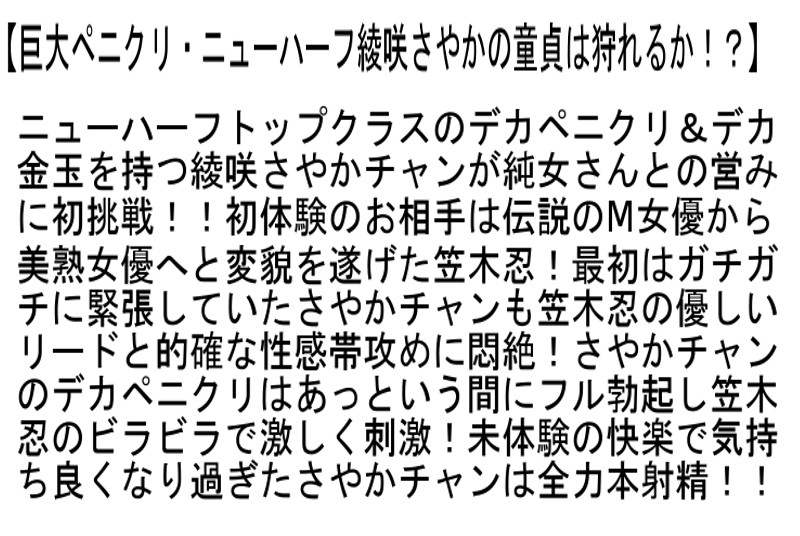 サンプル画像 5