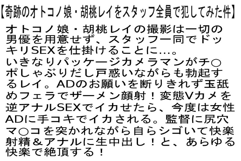 サンプル画像 3