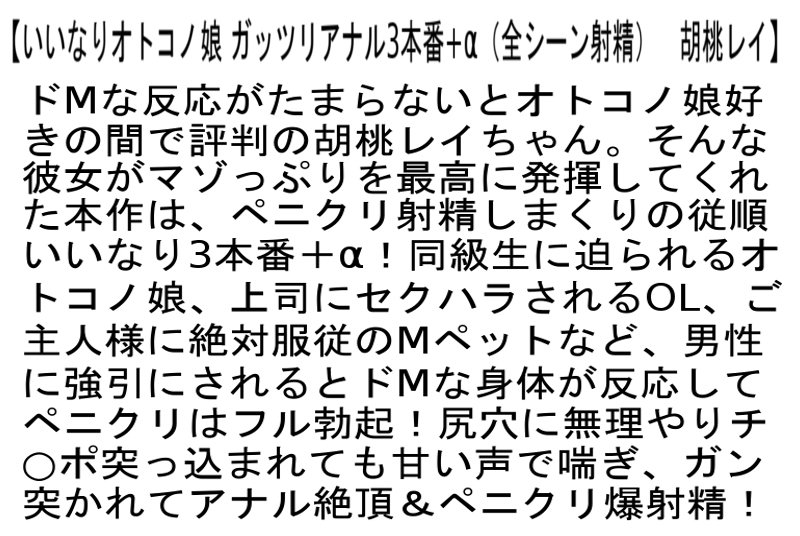 サンプル画像 7