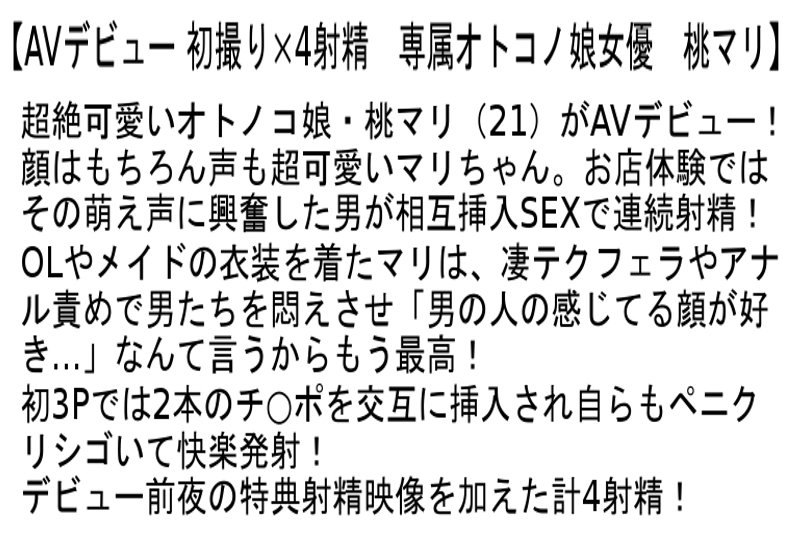 サンプル画像 3