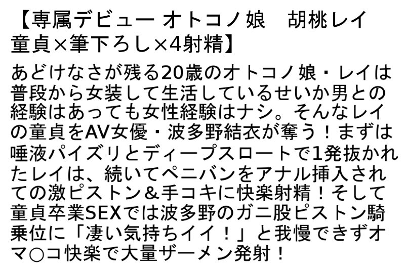 サンプル画像 5