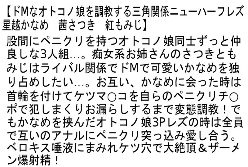 サンプル画像 7