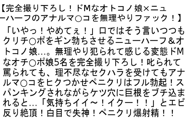 サンプル画像 5