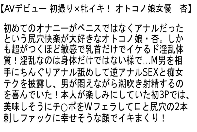 サンプル画像 3