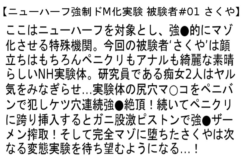 サンプル画像 5