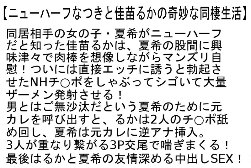 サンプル画像 3