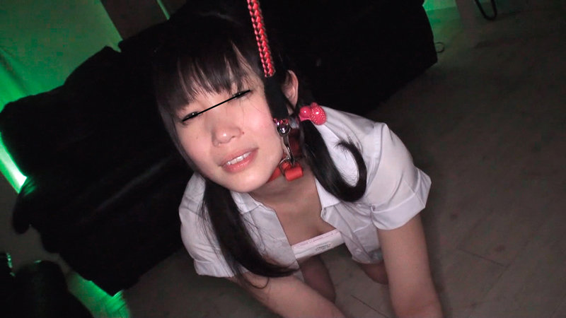 サンプル画像 20