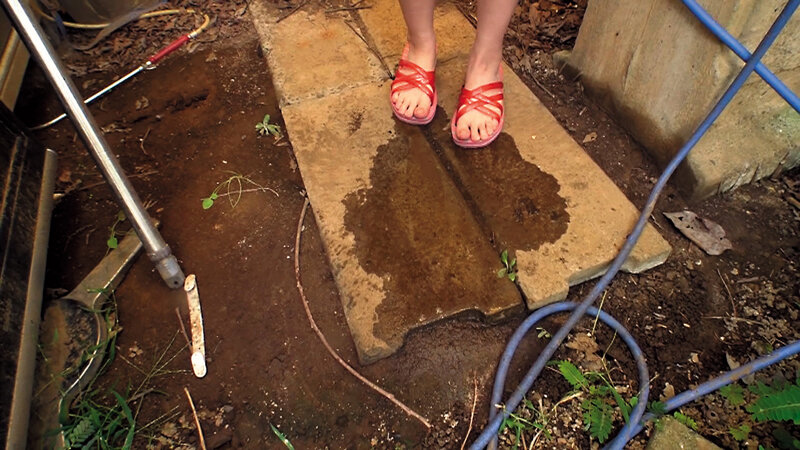 サンプル画像 16