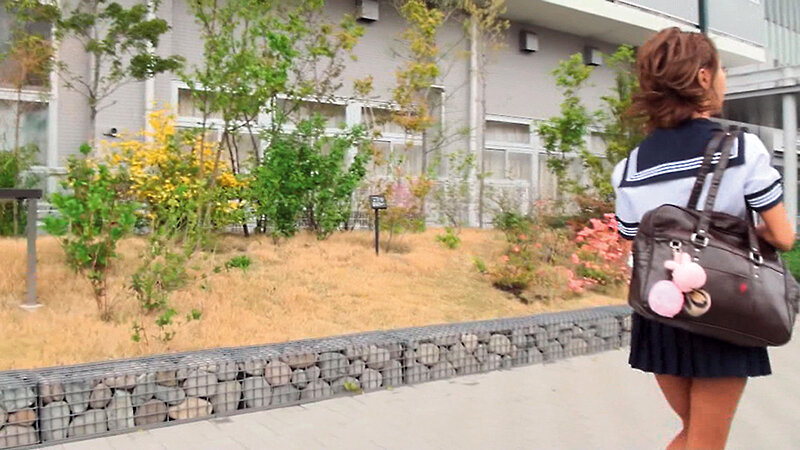 サンプル画像 2